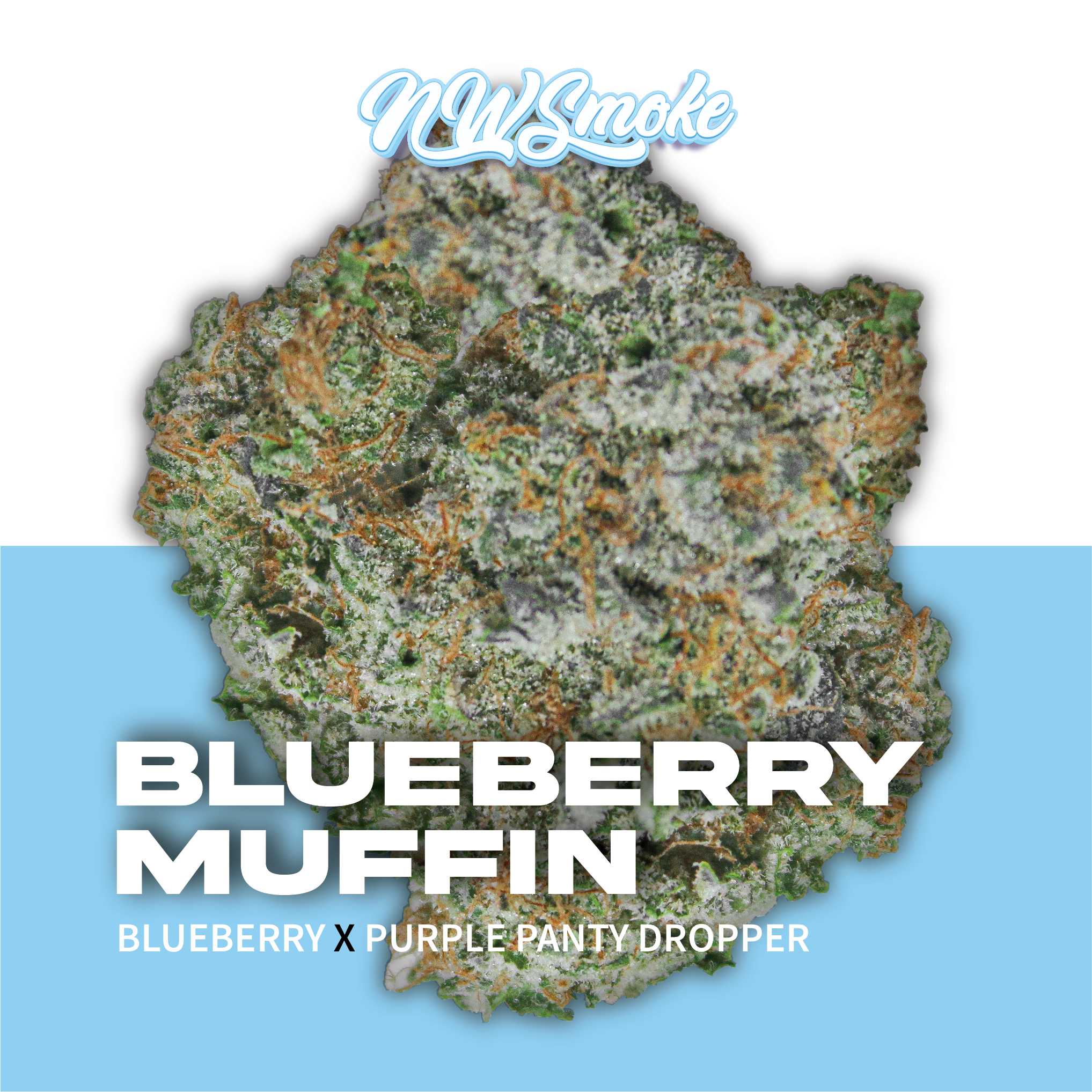 Blueberry Muffin