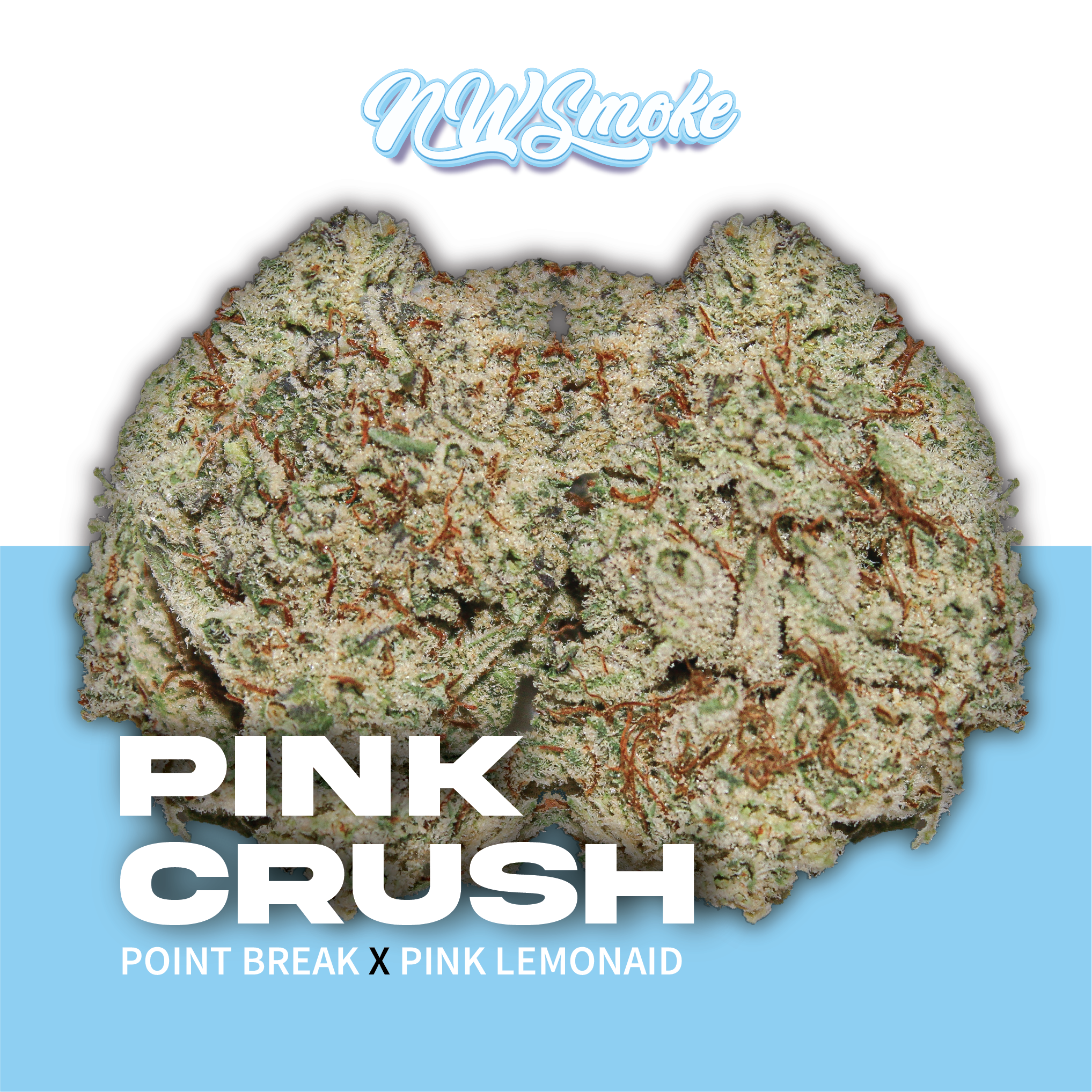 Pink Crush
